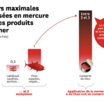 Capture d’écran 2024-11-08 à 14.35.30