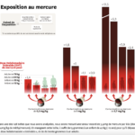 Capture d’écran 2024-11-08 à 14.36.28