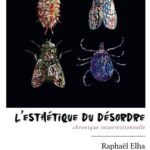 Couverture Esthetique du Désordre