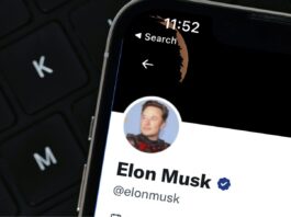 Fuite de Twitter vers BlueSky : la chute de Musk ?