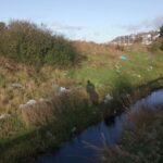 La-rivière-sauvage,-jonchée