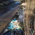 Les-bords-de-la-_rivière-sa