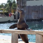 416151441_752656103576823_7408348259358133461_n