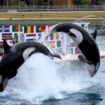 450483448_864708645704901_7561081391152105966_n