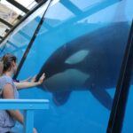 450646240_864708609038238_3538514830273501123_n