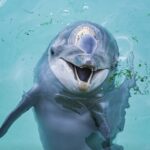 461210217_914220547420377_5098688311158259451_n