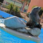 7088052969_8d75c8ecc5_k