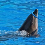 7094433293_01ed0f9a6f_h