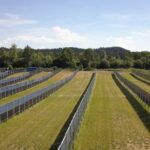 Aasen_agrivoltaics_solar_pl