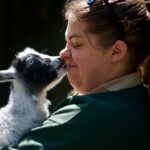 La dignité animale : une déclaration historique