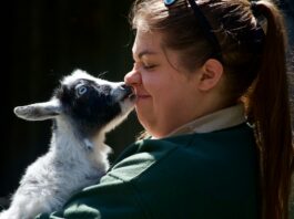 La dignité animale : une déclaration historique