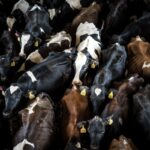 image-from-rawpixel-id-3259505-jpeg