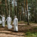 Ces arbres qui pourraient nous sauver des PFAS