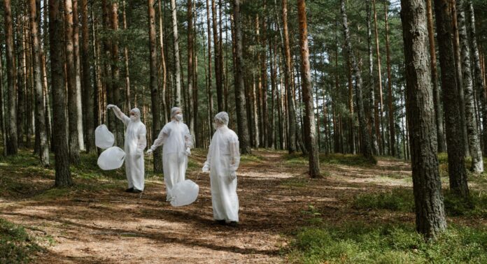 Ces arbres qui pourraient nous sauver des PFAS Ces arbres qui pourraient nous sauver des PFAS