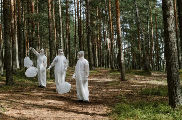 Ces arbres qui pourraient nous sauver des PFAS