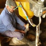 Saumon fumé, foie gras 02