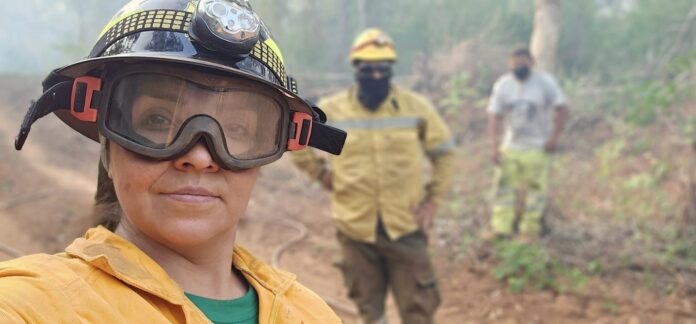 Feux en Bolivie : l’agro-industrie se frotte les mains Feux en Bolivie : l'agro-industrie se frotte les mains