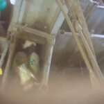 abattoir-rhone-ouest-saint-romain-de-popey-amenee-moutons-avant-etourdissement