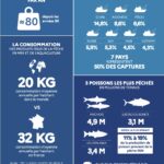 Capture d’écran 2025-01-22 à 12.38.31