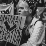 Contre les clichés, une brève histoire du véganisme