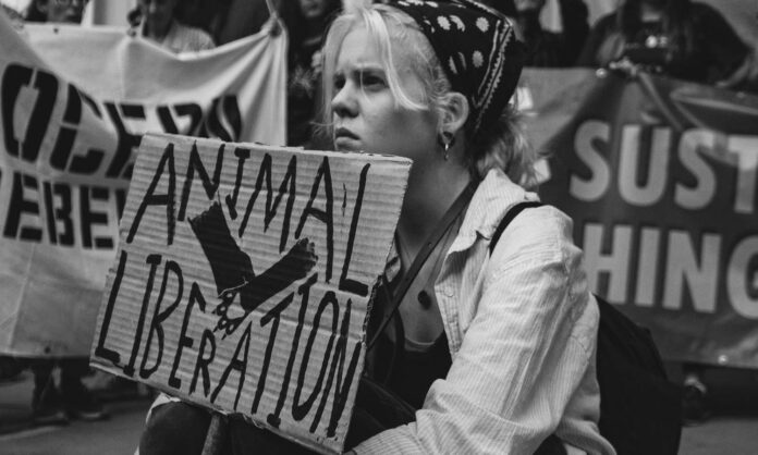 Contre les clichés, une brève histoire du véganisme Contre les clichés, une brève histoire du véganisme