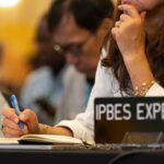 ENB_IPBES11_10Dec24_KiaraWorth-90 (1)