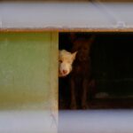 Katrin-Selsam-Unsplash-5