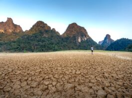 40 % des terres arables sont désormais des zones arides