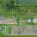 shutterstock_2166980145