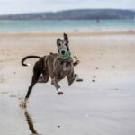 Valeriano-G-Unsplash-1