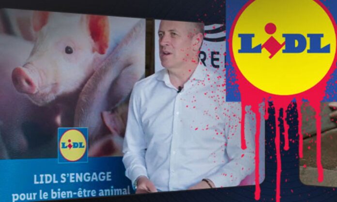 Lidl : sa gamme « Bien-être animal + » cache un élevage cruel Lidl : son label "Bien-être animal +" cache un élevage intensif
