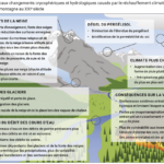 Capture d’écran 2025-03-24 à 12.04.28