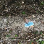 cate-bligh-wApLw842VjQ-unsplash_11zon