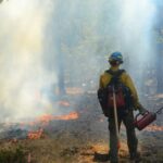 emma-renly-sGJWw-WbujI-unsplash