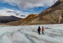 Disparition des glaciers : l’Unesco tire la sonnette d’alarme