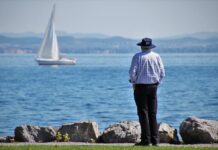 OFNI : levons le tabou des collisions avec les cétacés OFNI : levons le tabou des collisions avec les cétacés