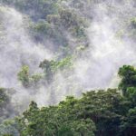 david-clode-xFqH9peAlmw-unsplash_11zon (1)