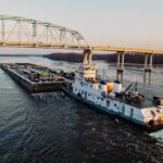 Activités industrielles : 24% des espèces d’eau douce menacées d’extinction