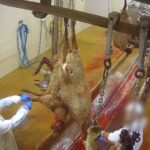 bab-medias-complet-reduit_01_06_44_15-modified