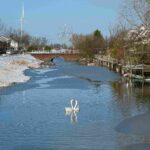 domenico Baiano_11zon (1)