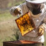 ETRELahage_Préqualif_CréditsZéliaMezailles (2)