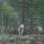 hans-veth-8y–BAFlC9c-unsplash_11zon