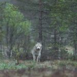 hans-veth-8y–BAFlC9c-unsplash