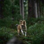 kim-eggler-kdHcSUORIWo-unsplash_11zon (1)