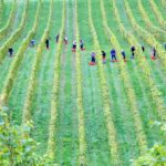 matthias-mitterlehner-KRmHft73IBE-unsplash