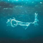 naja-bertolt-jensen-Ftelc8UPhWY-unsplash_11zon