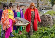 Composter les morts : une révolution verte pour les rites funéraires ?