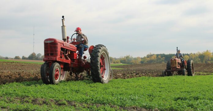 5 raisons écolo et solidaires de viser l’autonomie alimentaire en France 5 raisons écolo et solidaires de viser l’autonomie alimentaire en France