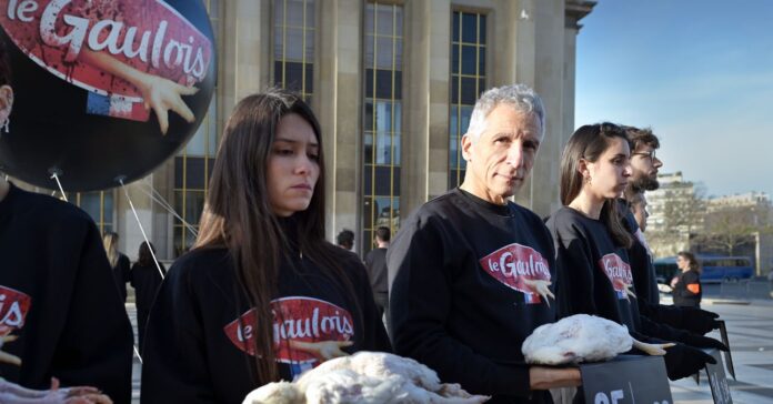 Victoire : Le Gaulois et Maître CoQ renoncent aux pires pratiques Victoire : Le Gaulois et Maître CoQ renoncent aux pires pratiques