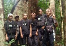 Indonésie : Contre l’industrie, Kalaweit rachète des forêts Indonésie : Contre l'industrie, Kalaweit rachète des forêts